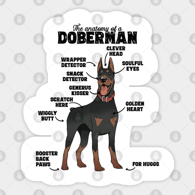 The Hilarious Anatomy of a Doberman print The Anatomy Of A